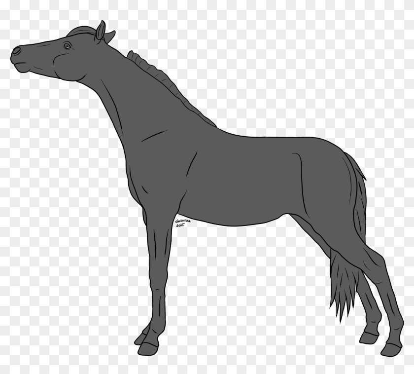 Horse Lineart Greyscale On Equinelineart Deviantart - Horse #364767