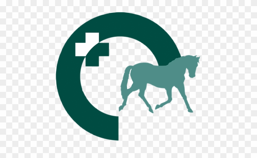 Performance Horse Consultancy - Equine Veterinarian Logo #364785