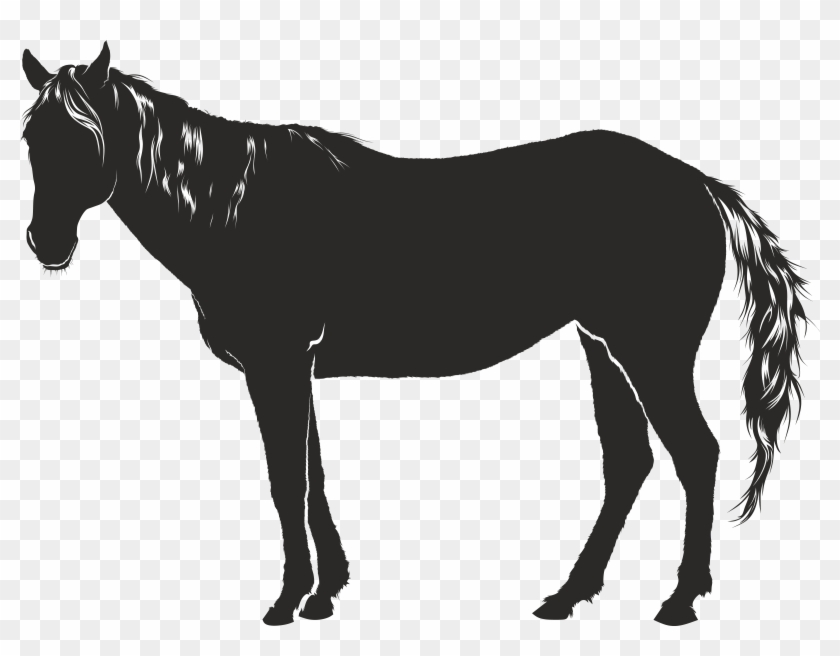 Free Clipart Of A Horse - Pferd Schatten #364801