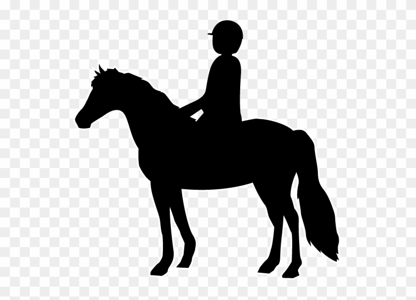 School And Study - Horse Rider Icon #364814