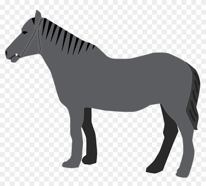 Horse Grey Animal Mammal Transparent Image - Custom Grey Horse Shower Curtain #364843
