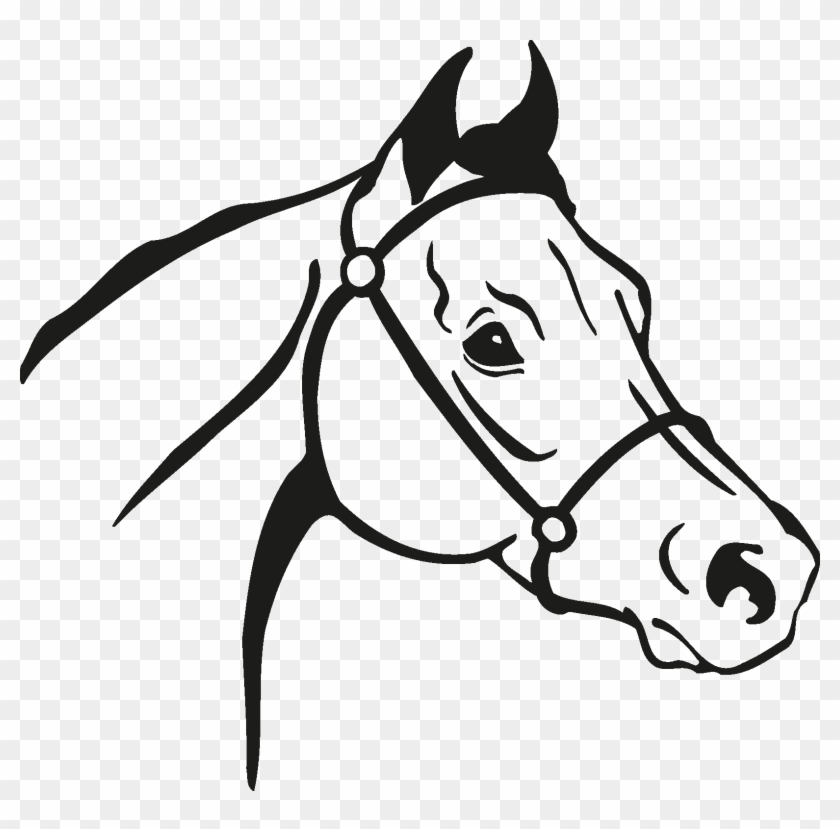 12 Horse Head Black And White Vectors [eps File] - Horse Vector #364846