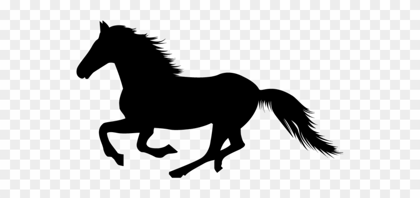 Horse-3 - Black Horse Transparent Background #364853