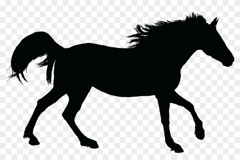 Medium Image - Horse Silhouette .png #364859