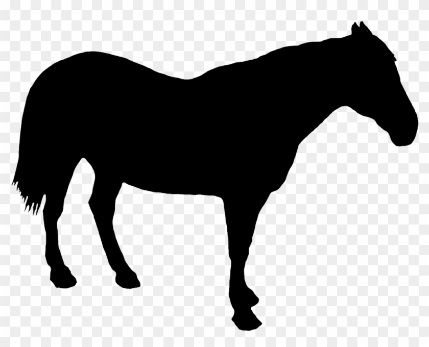 Horse Standing Silhouette, Horse Rider Silhouette Clipart - Horse Silhouette Standing #364867