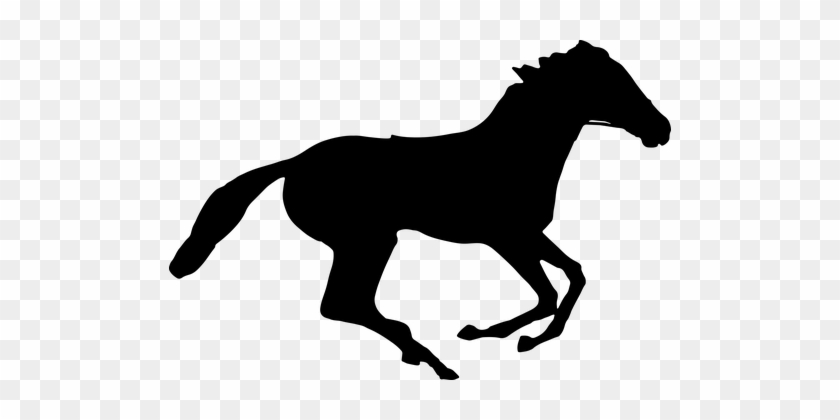 Animal Equine Horse Ride Silhouette Horse - Kentucky Derby 2018 Horses #364889