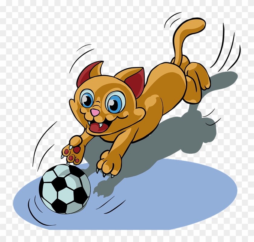 Download 880 Background Animasi Kucing Gratis Terbaik