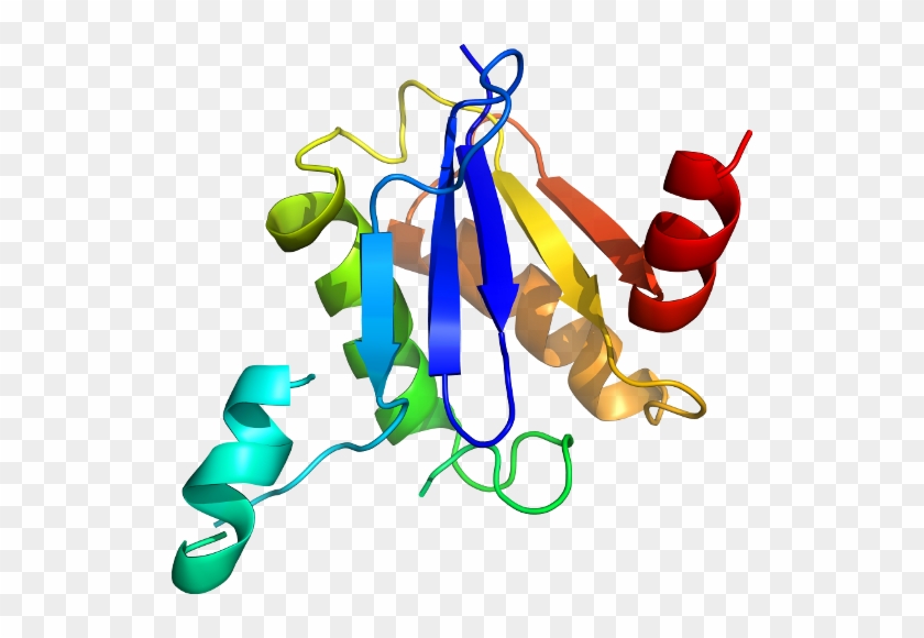 Graphic Design Line Organism Clip Art - Graphic Design Line Organism Clip Art #364978