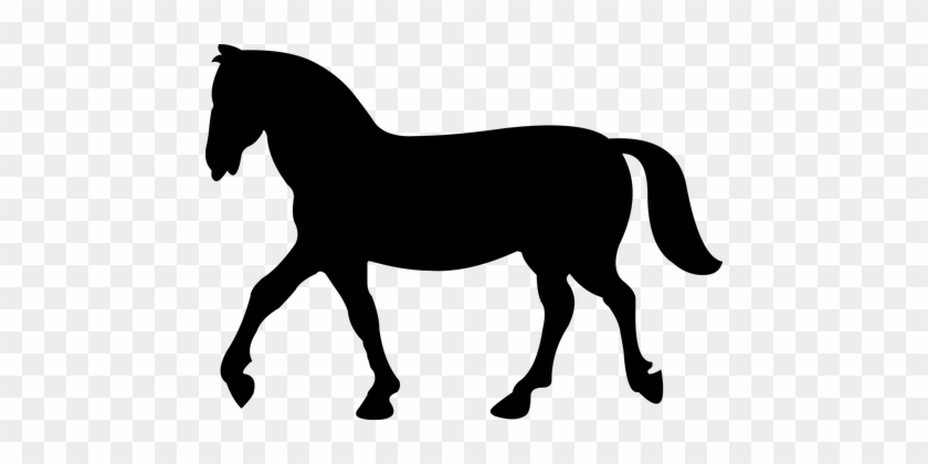 Animal Equine Horse Rearing Ride Silhouett - Horse Silhouette #364958