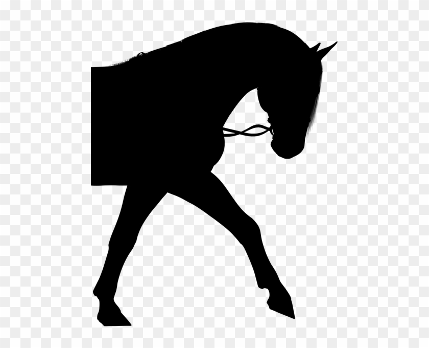 Horse Silhoutte - Horse Silhouette Png #365003