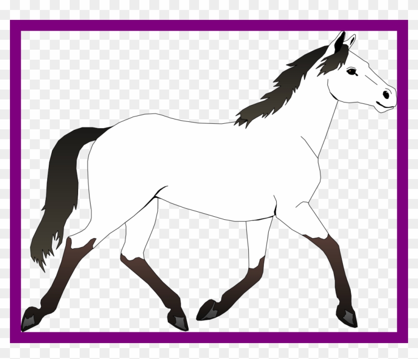 Incredible Black And White Horse Clipart Best Picture - Mustang Horse Coloring Pages #365121