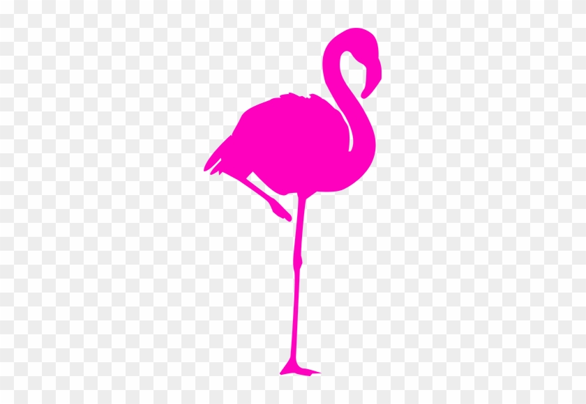 ¿porque Contratar Un Fotógrafo Profesional - Black And White Flamingo Clip Art #365208