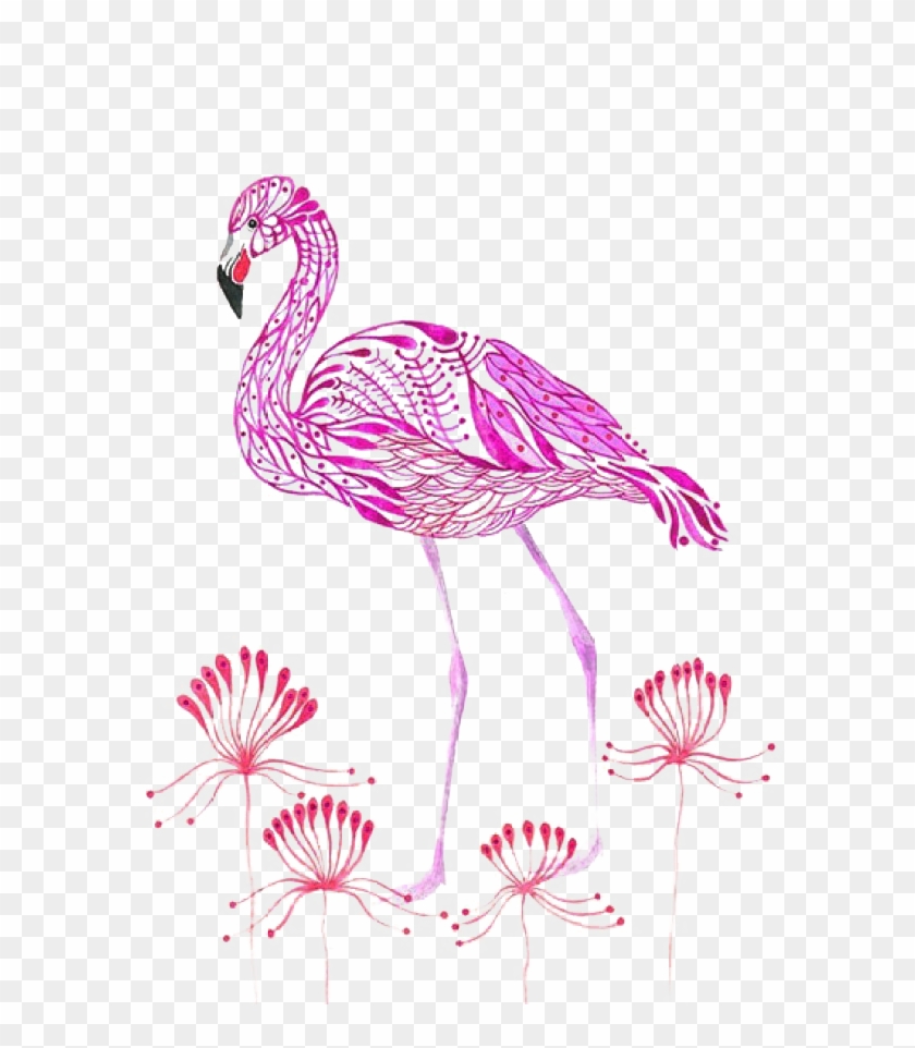Flamingos Olya, Russia Bird Watercolor Painting Illustration - Flamingos Olya, Russia Bird Watercolor Painting Illustration #365265