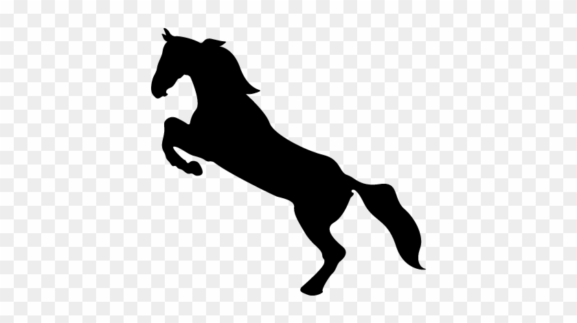Horse Standing On Back Paws Vector - Horse Icon Png #365254
