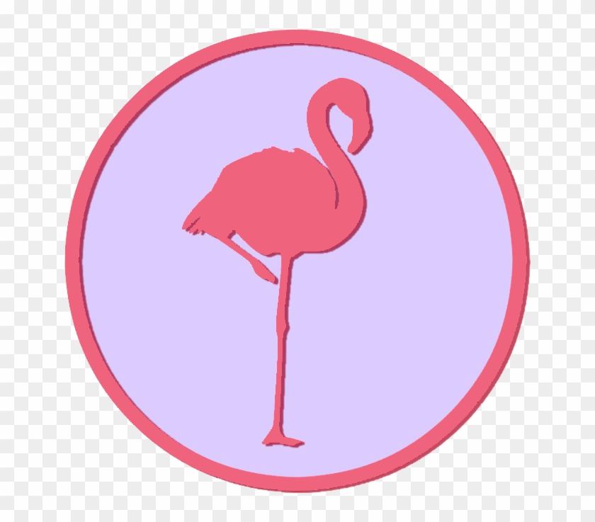 Flamingflamingos - Greater Flamingo #365266