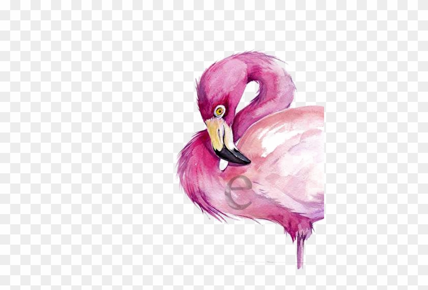 Watercolor Painting Flamingo Drawing - Watercolor Painting Flamingo Drawing #365326