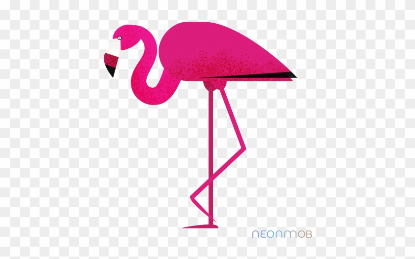 0 - Greater Flamingo #365401