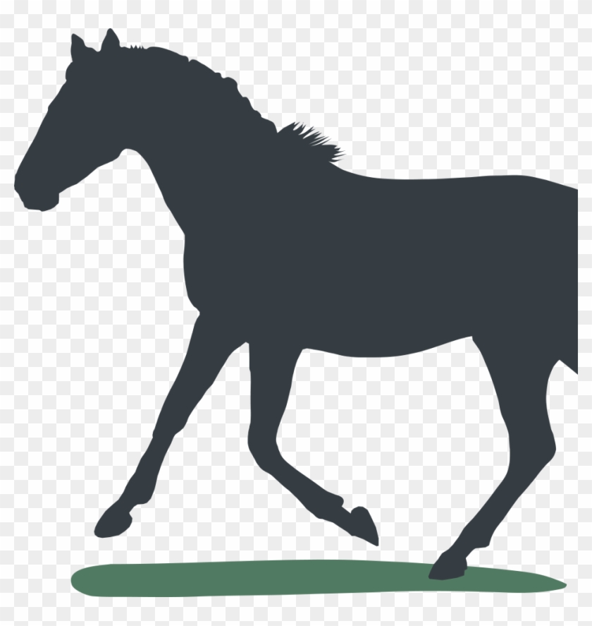 We Currently Have On Offer Foals, Yearlings, Colts - Love Riding2 Sticker (oval) #365511