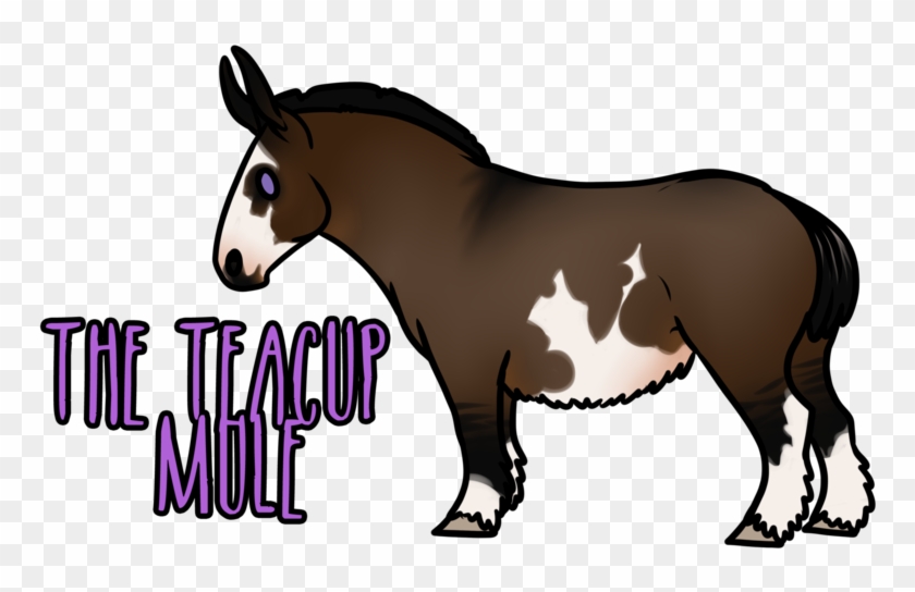 The Teacup Mule By Departeddoe - Mane #365530