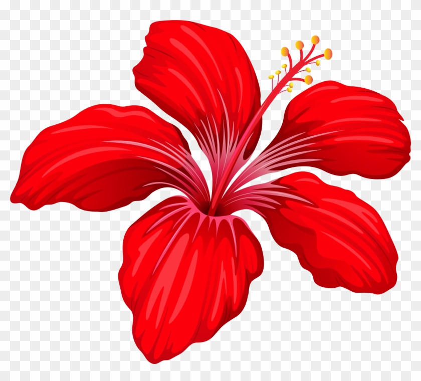 Red Flower Clipart Transparent - Different Type Of Flower #365641