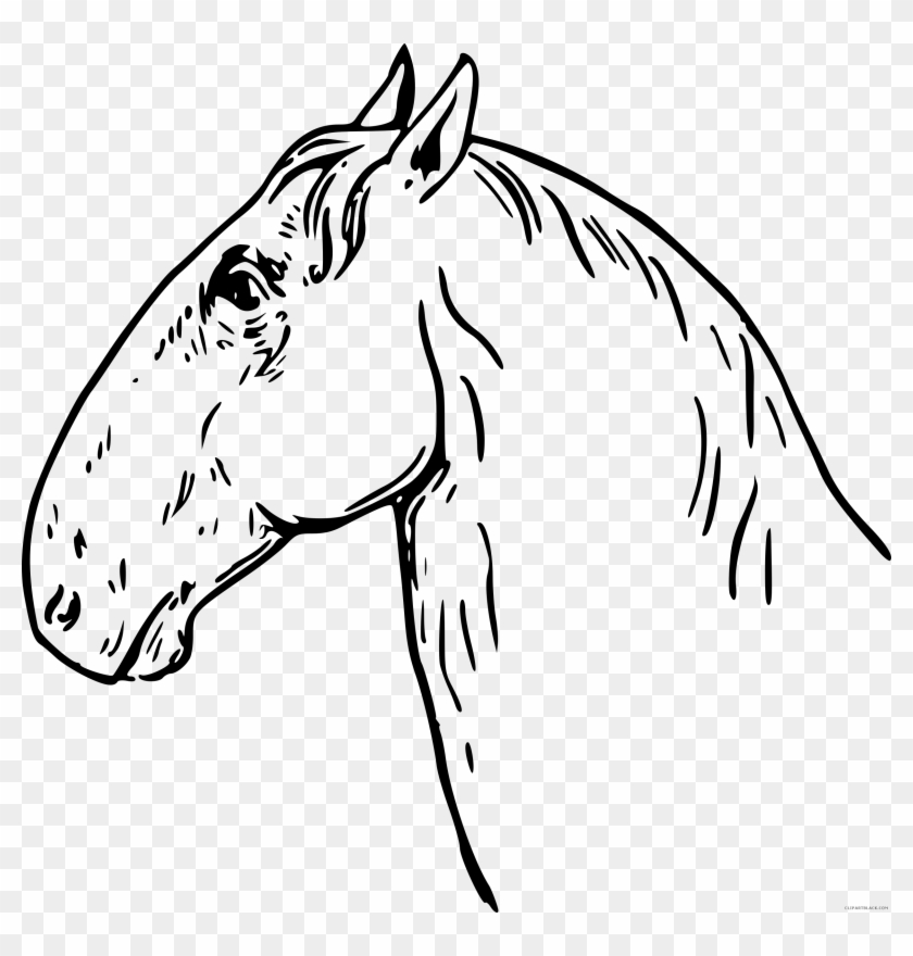 Horse Head Animal Free Black White Clipart Images Clipartblack - Clipart Free Horse Black And Wite #365744