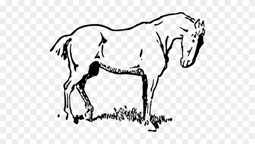 Small Eyed Horse Clipart - Horse Clipart #365771