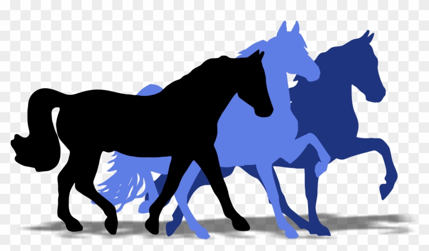 Super Horse Usa - Horse #365918
