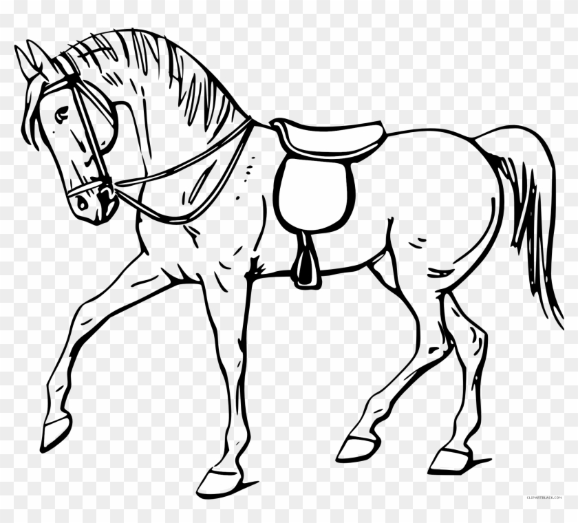 Quarter Horse Animal Free Black White Clipart Images - Outline Of A Horse #365939