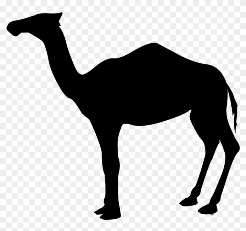 Shadow Clipart Camel - Dromedary Silhouette #366149