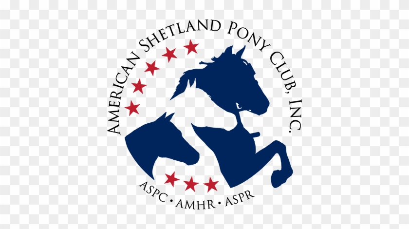 Welcome To The Area Vii Shetland Pony & Miniature Horse - American Shetland Pony Club #366230