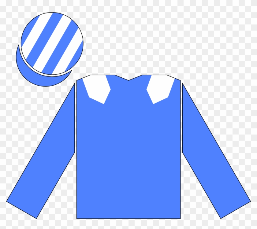 Hamdan Al Maktoum Racing Colours #366390