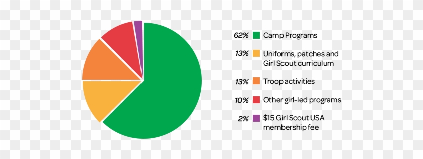 A Girl Scout Thank You - Circle #366424