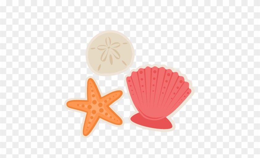 Large Seashells Cliparts And Others Art Inspiration - Sea Shell Clip Art #367134