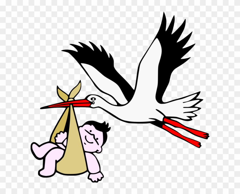 Storks Baby - Montagne Sainte-victoire #367389