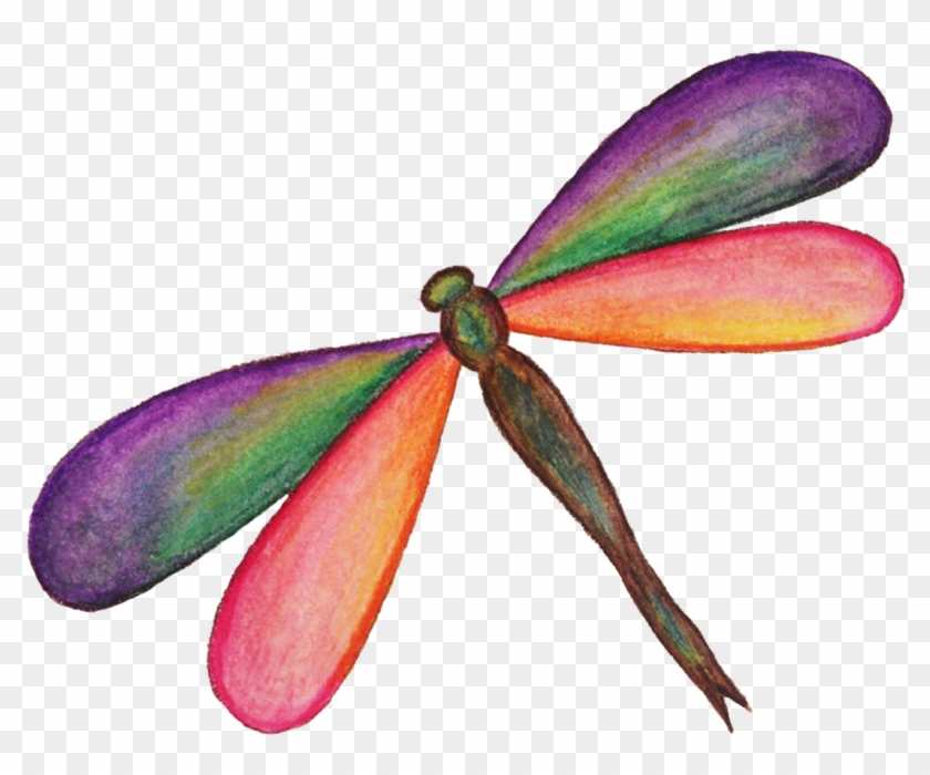 Dragonfly Png Hd - Portable Network Graphics #367970
