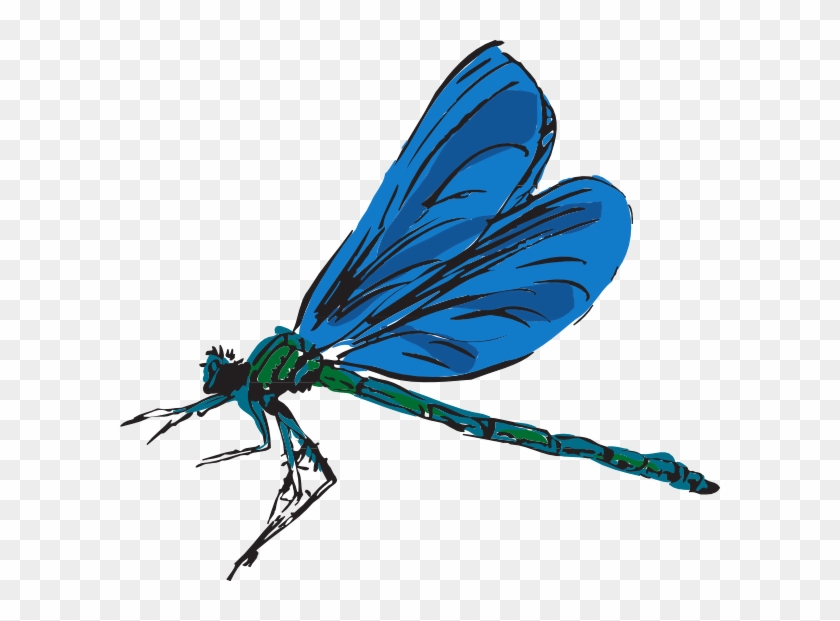 Dragonfly Art Clip Art At Clker - Dragonfly Clip Art #367992