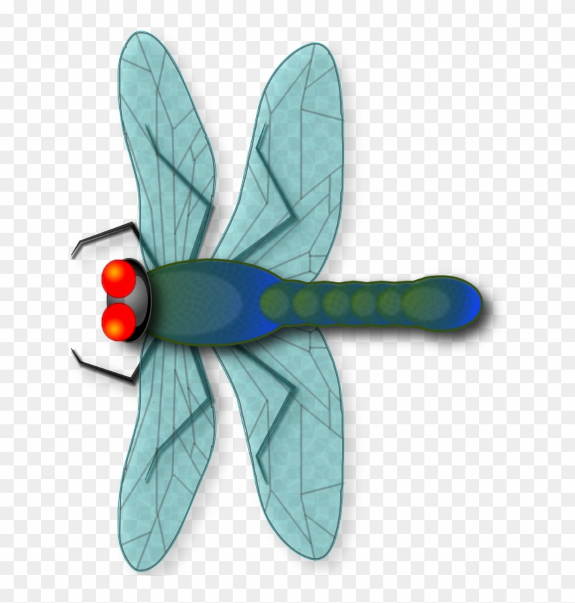 Make Your Own Dragonfly From Scratch *beginners* - Net-winged Insects #368022