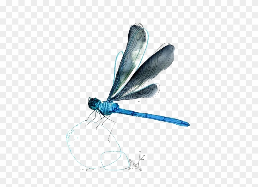 Watercolor Dragonfly 515*600 Transprent Png Free Download - Watercolor Dragonfly 515*600 Transprent Png Free Download #368118