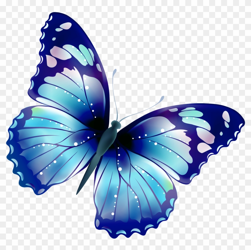 Pin By Luna Christensen On Clipart Transparent - Transparent Background Butterfly Clipart #368206