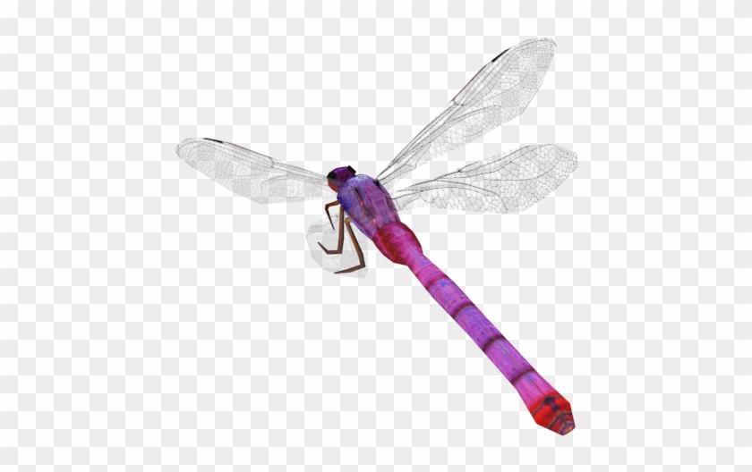 Dragonfly - Dragonfly #368210