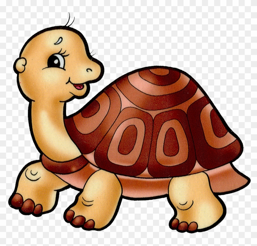 Tortoise And Turtle Cartoon Png Images On A Transparent - Clipart Tortoise #368559