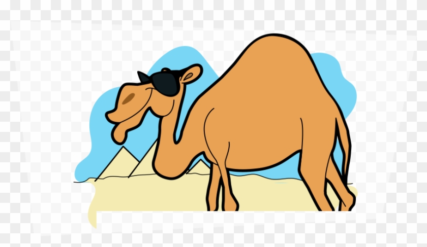 Camels Have 3 Eyelids To Protect Themselves From The - Factoid #369971