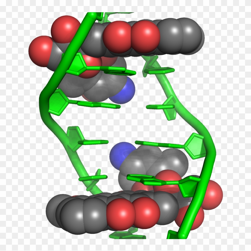 Fda Push Through Approval Of Doxil Generic - Doxorubicin Mechanism Of Action #370379