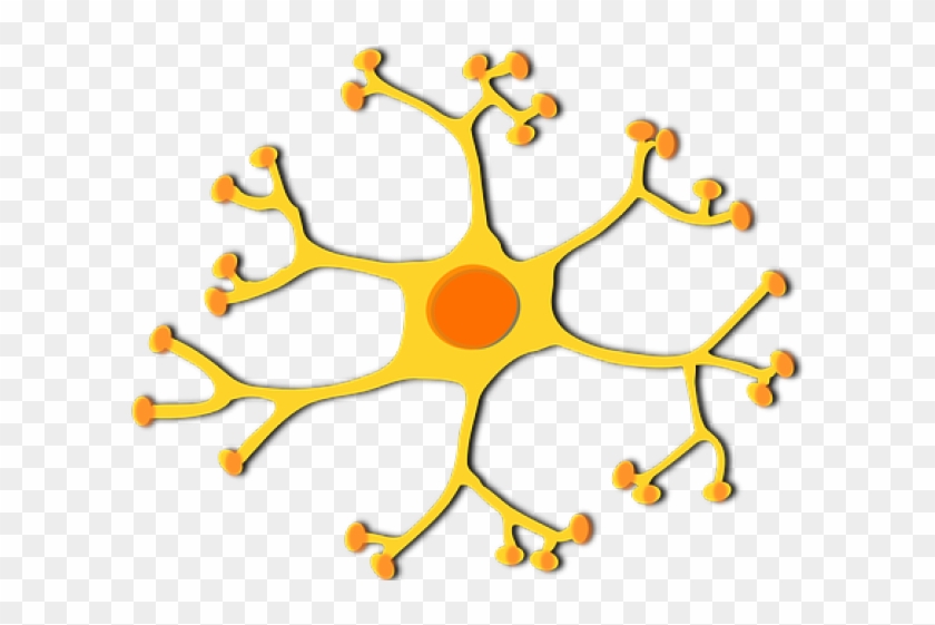Neuron Clipart Generic - Dendrites Png #370413