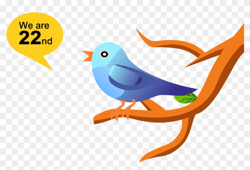 Tweet - Bird #370640