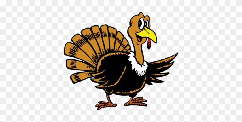 Graphics For Thanksgiving Turkey Vector Graphics Www - Turkey Cartoon #370810