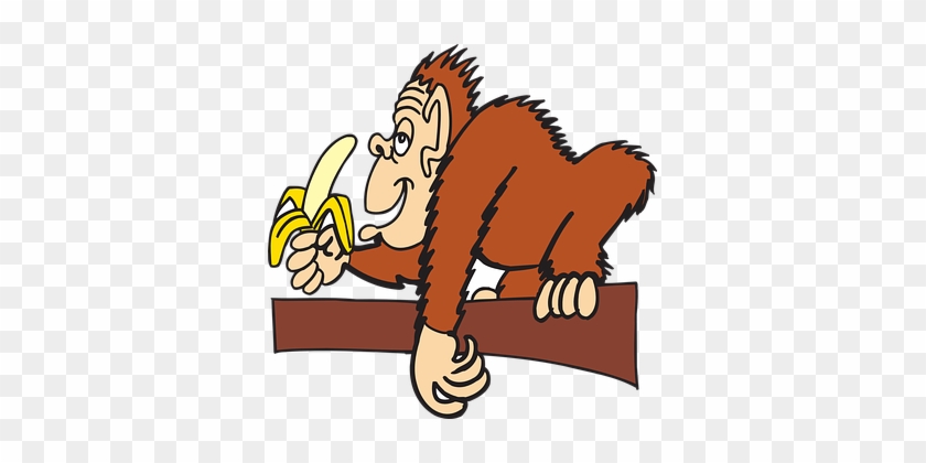 Ape Branch Banana Animal Peeled Eating Ape - Monkeys Eating Bananas Clipart #370824