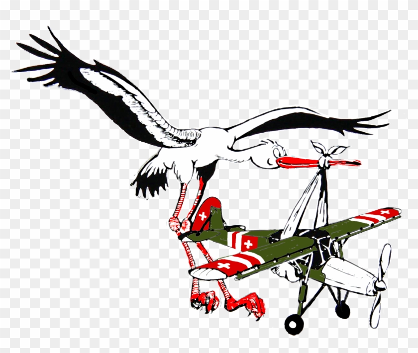 Swiss Storch Team - Golden Eagle #370861