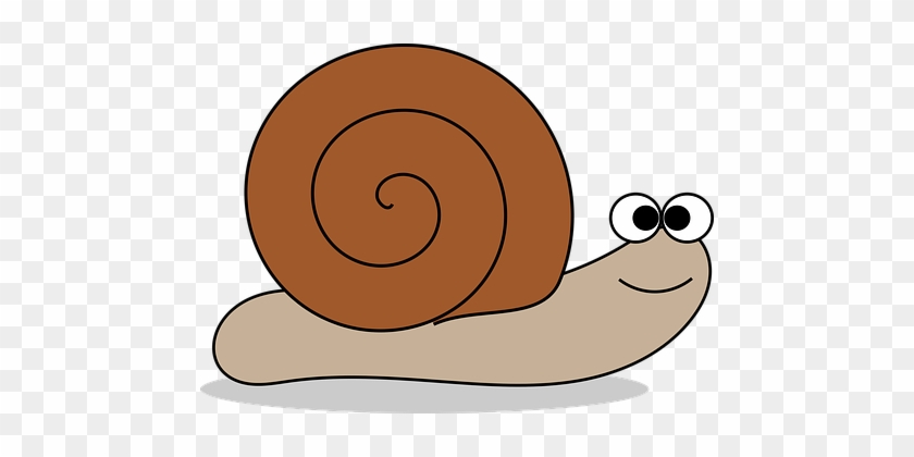 Animal Cartoon Cartoon Animals Grass Mollu - Snail Clipart Png #370860