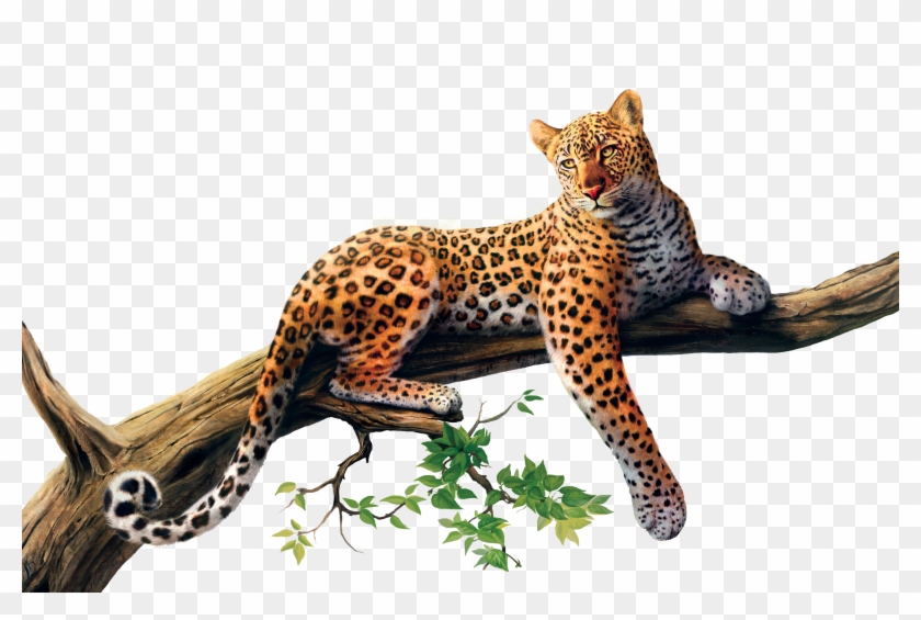 Jaguar Png Image - Ark Tlc Phase 3 #371254